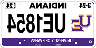 Example UE License Plate